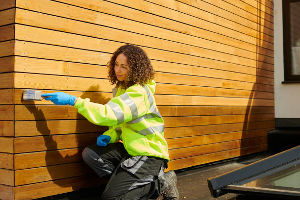 Best Siding Removal and Disposal  in San Carlos, AZ